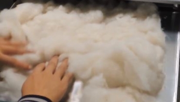 Phương pháp kiểm tra tạp chất trong bông